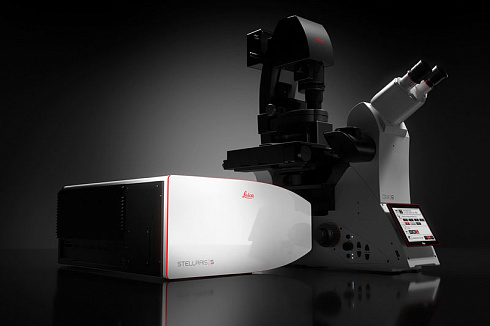 Leica STELLARIS 5